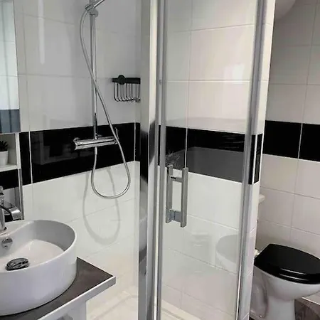 T2 アルカション