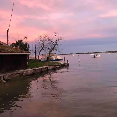 T2 アルカション